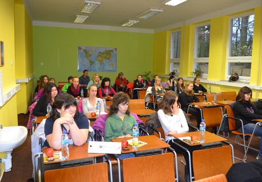 141126 Domažlice (29)