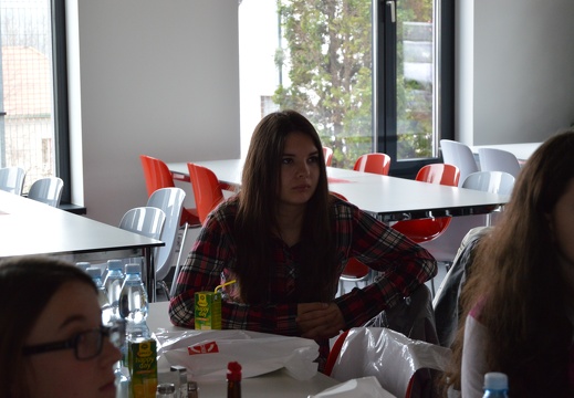 150408 Streicher (10)