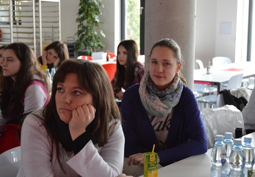 150408 Streicher (14)