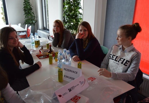 150408 Streicher (16)