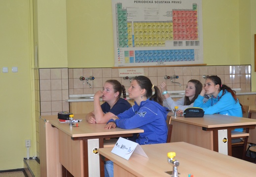 2. Beseda 9. 6. 2015, Olga Pechlátová (10)